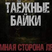 Таежные Байки С Борзов