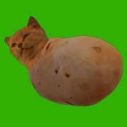 Туц Туц Туц Туц