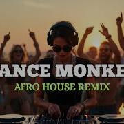 Dance Monkey Afro House Remix Tribal Deep House 2026