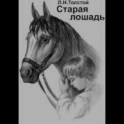 Старая Лошадь Толстой