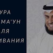 Сураи Араайталлази