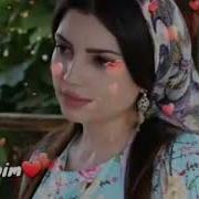 Энг Зур Терма Кушиклар