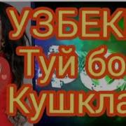 Уйин Боб Кушиклар
