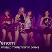 Blackpink Pink Venom Concert