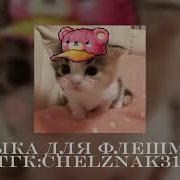 Музыка Для Флешмоба 2026