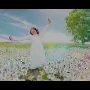 Не Гадайте На Ромашках