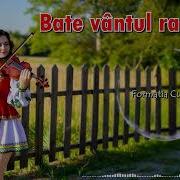 Curnut Bate Vintul Ramurile