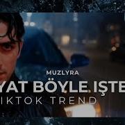 Bu Hayat Böyle Dostum