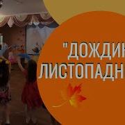 Дождик Листопадничек Минус