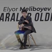 Saralab Oldik Cover