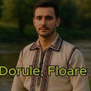 Mai Dorule Floare Rara