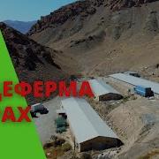 День На Птицеферме