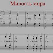 Милость Мира Богданова Бас