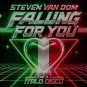 Steven Van Dom Falling For You