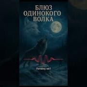 Блюз Одинокого Волка