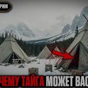 Таежные Истории