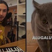 Песня С Кошачьим Мяуканьем