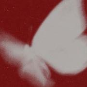 Crazy Town Bradeazy Butterfly