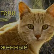 Отверженные Коты Воители