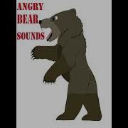 Angry Bear Sound