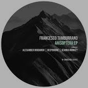 Falena Francesco Tamburrano