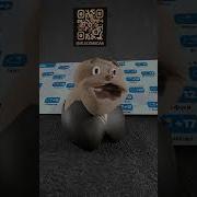 Выключи Его Нахуй Мем