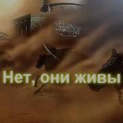 Аяты Про Джихад