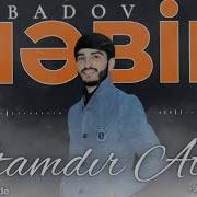 Atamdır Atam