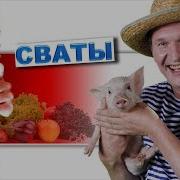 Гитара Со Сватов