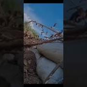 Повоюйте Вместо Нас