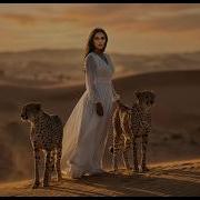 Chill Oriental House 2026 Sunset Vibes Arabic Deep House Mix