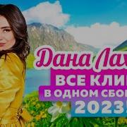 Дана Лохова Концерт
