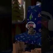 Танцующий Кот А Наушниках
