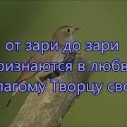 От Зари До Зари Славят Бога Соловьи