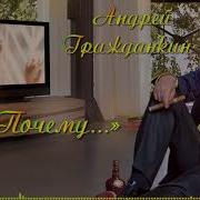 Андрей Гражданкин Почему