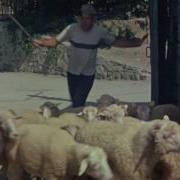 Эге Гей Хали Гали