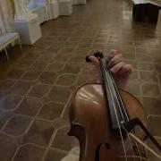 Poviolinist