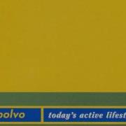 Polvo Stinger Five Wigs