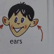 Spotlight 2 Lesson 11A