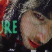 Tommy Cure