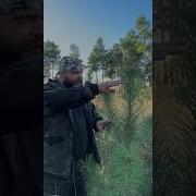 В Походе За Походом