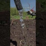 Звук Льющейся Мочи