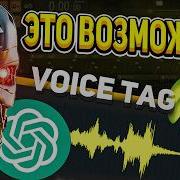 Войс Тег