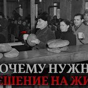 Выгул Выгул
