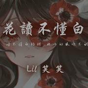 山茶花读不懂白玫瑰