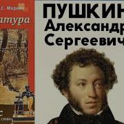Литература 8 Класс Меркин