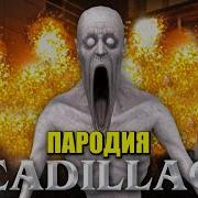 Кадиллак Про Скромника