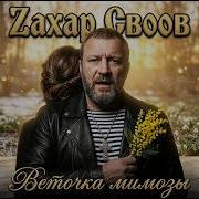 Zaxap Cвоов Весточка Мимозы Премьера Клипа 29026
