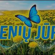 Robertas Marcinkevičius