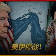 王局美伊停战